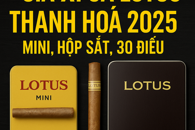 Giá Xì Gà Lotus Thanh Hóa 2025 – Lotus Mini, Hộp Sắt, 30 Điếu