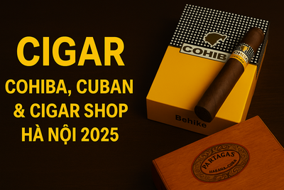 Cigar – Cohiba Cigars, Cuban Cigars & Cigar Shop Hà Nội 2025