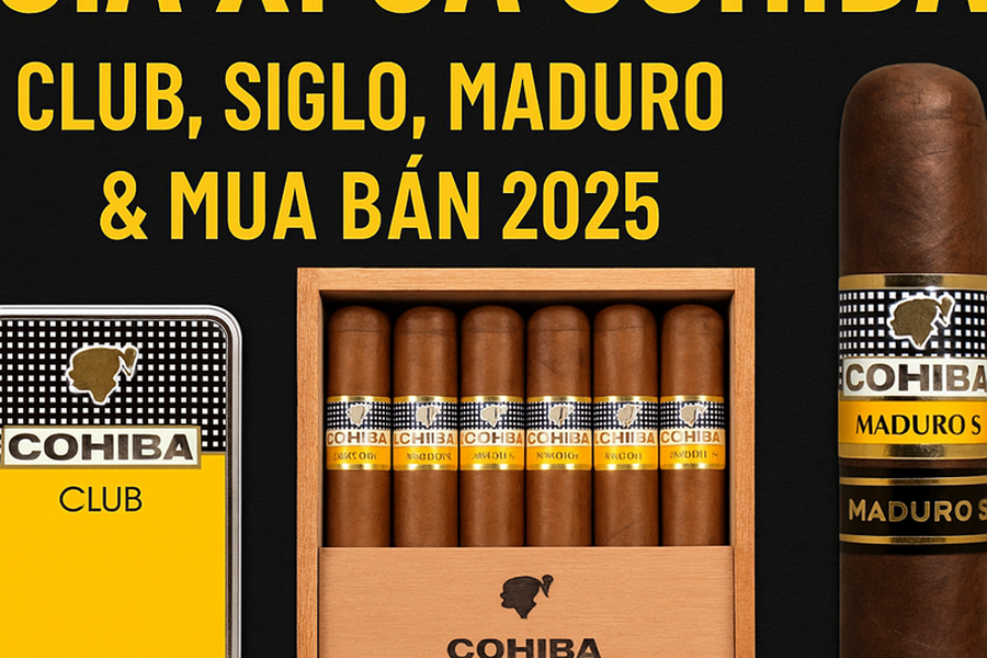 Giá Xì Gà Cohiba 2025 – Club, Mini, Siglo, Maduro & Địa Chỉ Mua Uy Tín