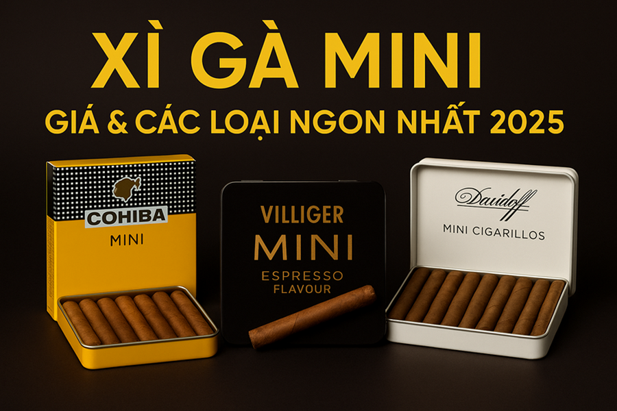 XÌ GÀ MINI: HƯỚNG DẪN TOÀN DIỆN TỪ A ĐẾN Z CHO NGƯỜI MỚI VÀ NGƯỜI BẬN RỘN