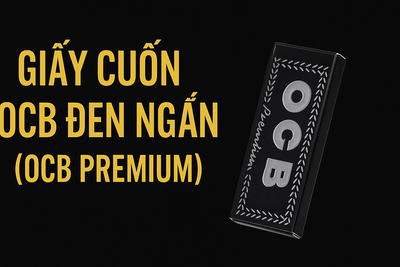 Giấy Cuốn OCB Đen Ngắn (OCB Premium)