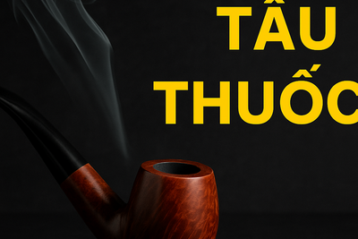 Tẩu Thuốc: Nghệ Thuật Thưởng Thức Của Quý Ông và Hướng Dẫn Toàn Diện Cho Người Mới