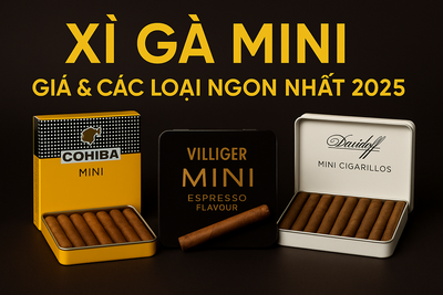 XÌ GÀ MINI: HƯỚNG DẪN TOÀN DIỆN TỪ A ĐẾN Z CHO NGƯỜI MỚI VÀ NGƯỜI BẬN RỘN
