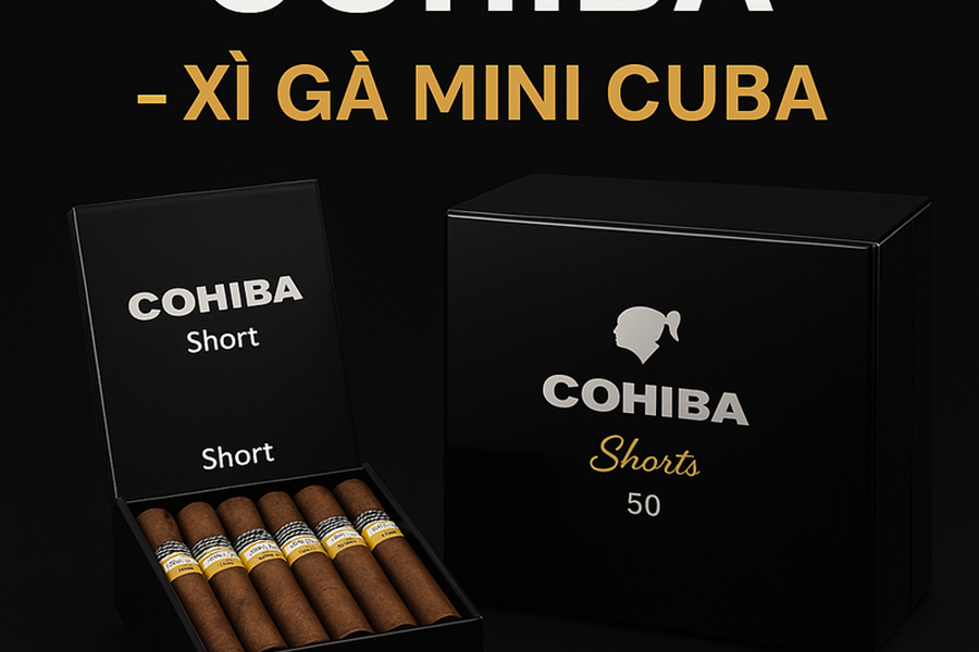 COHIBA SHORT: Đánh Giá Cohiba Short Chi Tiết Nhất | Giá Cohiba Short & Nơi Bán Cohiba Short Chính Hãng