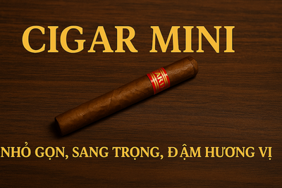 Cigar Mini: Hướng Dẫn Toàn Diện Về Các Loại Xì Gà Mini Phổ Biến Nhất (Villiger, Cohiba, Cafe Crème)