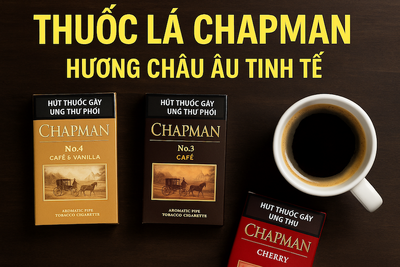 Thuốc Chapman: Review Chi Tiết Giá, Hương Vị No4, No3, Cherry & Địa Chỉ Mua Thuốc Lá Thơm Chính Hãng