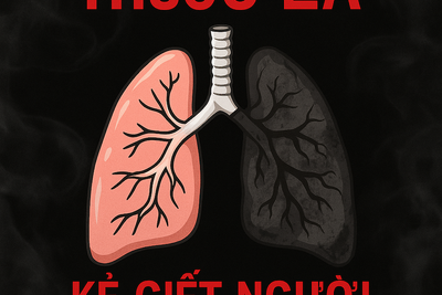 Tác Hại Của Thuốc Lá: Phân Tích Toàn Diện & Giải Pháp Phòng Chống Theo Luật Định