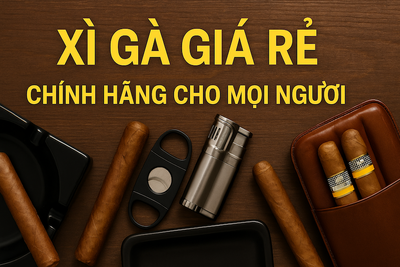 Xì Gà Giá Rẻ: Hướng Dẫn Mua, Đánh Giá Các Loại Xì Gà Giá Rẻ Nhất (Cuba, Cohiba Mini) & Phụ Kiện Tiết Kiệm