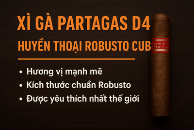 Partagas D4: Đánh Giá Chi Tiết Vua Robustos, Giá & Mua Xì Gà Partagas Dno4 Chính Hãng 25 Điếu