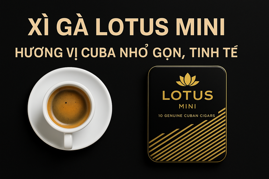 Xì Gà Lotus Mini: Đánh Giá Toàn Diện (Giá, Vị, Phân Loại) – Tuyệt Phẩm Xì Gà Việt Nam Cho Mọi Khoảnh Khắc