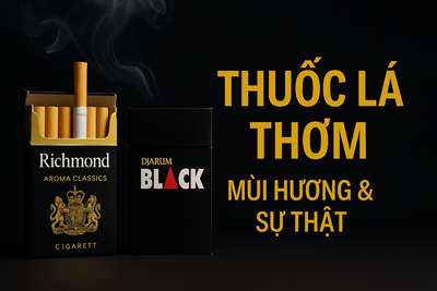 Thuốc Lá Thơm: Khám Phá A-Z Về Các Loại Thuốc Lá Có Mùi Thơm Ngon Nhất (Giá Rẻ, Cao Cấp & Địa Chỉ Mua)