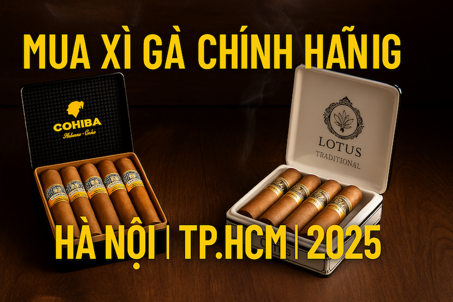 Mua Xì Gà Chính Hãng Ở Đâu? Địa Chỉ, Giá & Hướng Dẫn Mua Xì Gà Uy Tín Tại Hà Nội, TPHCM 2025