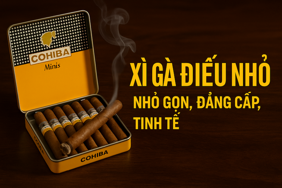 XÌ GÀ ĐIẾU NHỎ (MINI CIGAR): Hướng Dẫn Toàn Tập Cho Người Mới Bắt Đầu 2025