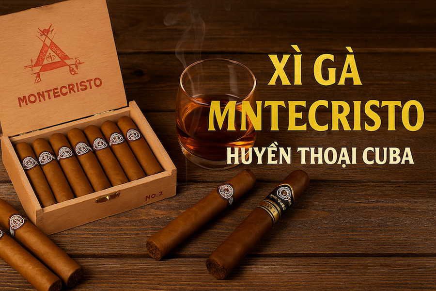 Xì Gà Montecristo: Bảng Giá & Đánh Giá Chi Tiết Các Dòng Edmundo, No.2, Open, Mini