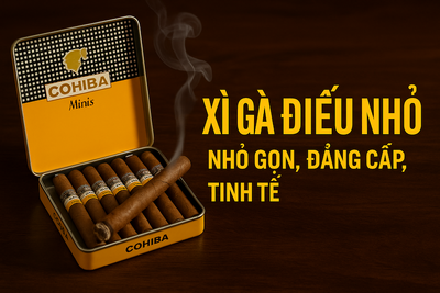 XÌ GÀ ĐIẾU NHỎ (MINI CIGAR): Hướng Dẫn Toàn Tập Cho Người Mới Bắt Đầu 2025