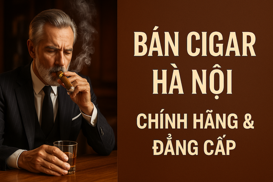 Bán Cigar Hà Nội: Địa Chỉ Mua Lẻ, Hộp & Phụ Kiện Cigar Chính Hãng