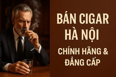 Bán Cigar Hà Nội: Địa Chỉ Mua Lẻ, Hộp & Phụ Kiện Cigar Chính Hãng