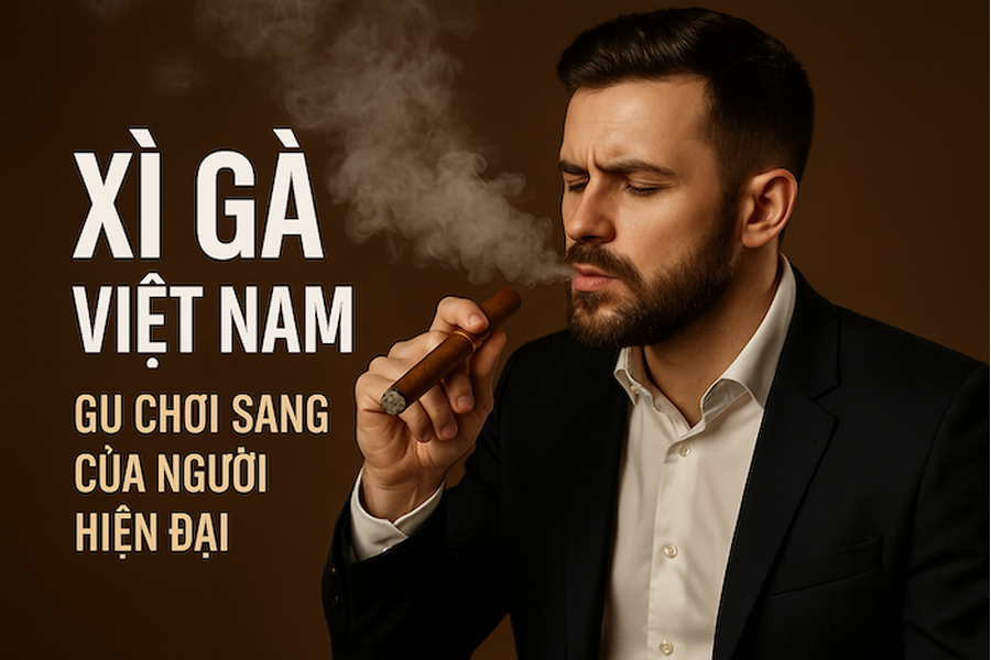 BÍ QUYẾT LỰA CHỌN XÌ GÀ VIỆT NAM VÀ THẾ GIỚI: TOP LOẠI ƯA CHUỘNG, NHÀ PHÂN PHỐI UY TÍN & KINH NGHIỆM VẬN CHUYỂN