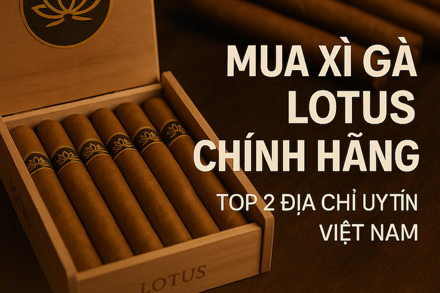 Địa Chỉ Mua Xì Gà Lotus Chính Hãng Uy Tín Nhất Việt Nam (2025)