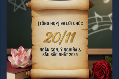 [Tổng hợp] 99 Lời Chúc 20/11 Ngắn Gọn, Ý Nghĩa và Sâu Sắc Nhất 2025