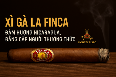 Xì Gà La Finca Ammo: Đánh giá chi tiết, Giá bán và Món quà "chất" dành cho người mới