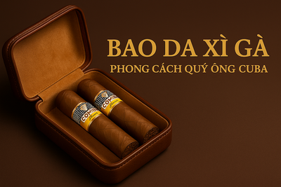 Bao Da Đựng Xì Gà: Cẩm Nang Chọn Mua, Hướng Dẫn Bảo Quản