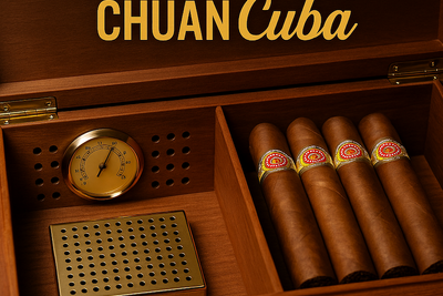 Hộp Bảo Quản Xì Gà Là Gì? Hướng Dẫn Sử Dụng A-Z và Bí Quyết Mua Hộp Giá Rẻ, Mini 2025