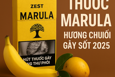 Thuốc Lá Marula (Zest Marula) Hương Trái Cây, Giá Bao Nhiêu, Mua Ở Đâu?