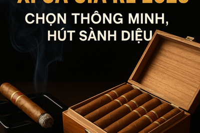 Khám Phá Xì Gà Giá Rẻ: Cẩm Nang Mua Sắm Từ A đến Z Cho Người Mới