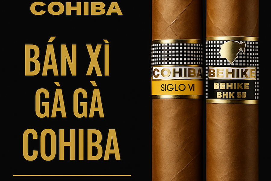 Bán Xì Gà Cohiba Chính Hãng: Bảng Giá Cohiba Behike 56, Siglo VI và Mini Mới Nhất