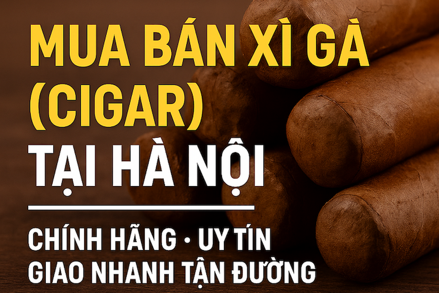 Mua Bán Xì Gà (Cigar) Tại Hà Nội – Uy Tín, Chính Hãng, Giao Nhanh Tận Nơi
