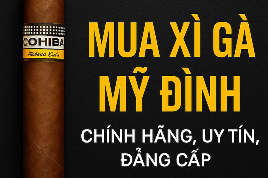 Mua Xì Gà Mỹ Đình Ở Đâu? Cẩm Nang Từ A-Z Về Cửa Hàng, Giá & Cách Chọn Chuẩn Nhất