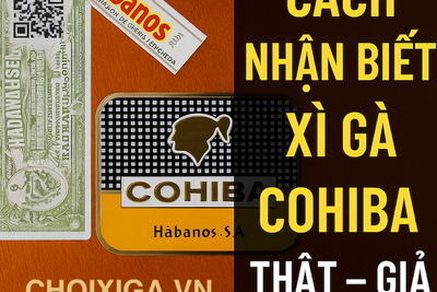 9 Cách Nhận Biết Xì Gà Cohiba Thật Giả Chính Xác 100% Cho Người Mới