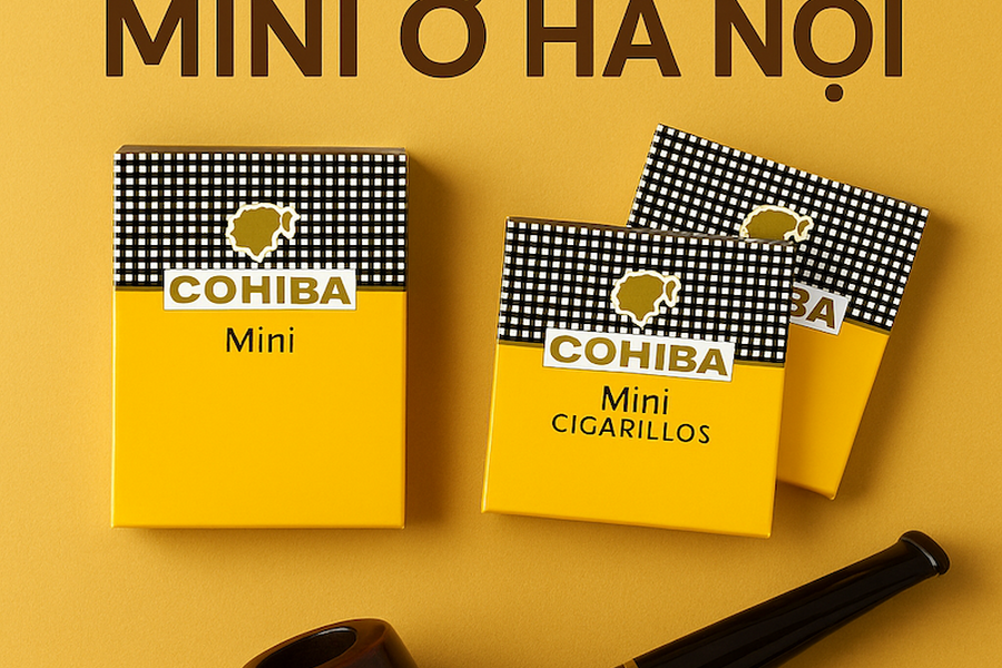 Mua Xì Gà Mini Ở Hà Nội: Địa Chỉ Xì Gà Mini Thanh Xuân Hà Nội & Mua Tẩu Hút Xì Gà Mini Ở Đâu