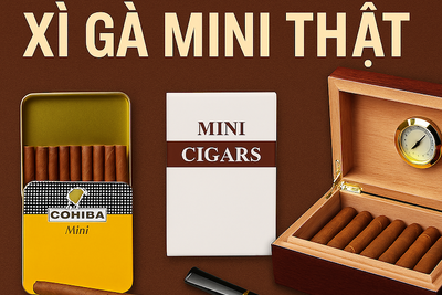 Mua Bán Xì Gà Mini Ở Hà Nội: Cách Phân Biệt Xì Gà Mini Thật, Hộp Bảo Quản & Gói Thuốc Lá Xì Gà Mini