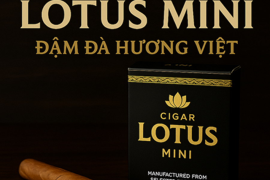 Cigar Lotus Mini: Bảng Giá & Review Chi Tiết Dòng Xì Gà Mini Phổ Thông Nhất