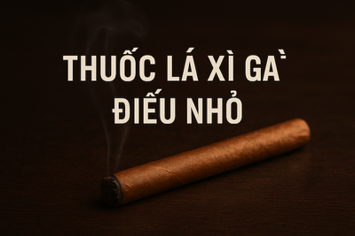 Thuốc Lá Xì Gà Điếu Nhỏ: Top Loại Ngon, Giá Rẻ Cho Người Mới & Hướng Dẫn Hút Chuẩn Vị
