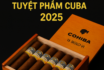 SIGLO 6 GIÁ BAO NHIÊU? CẬP NHẬT GIÁ CIGAR COHIBA SIGLO 6 HỘP 3 ĐIẾU & HỘP 25 ĐIẾU CHÍNH HÃNG 2025