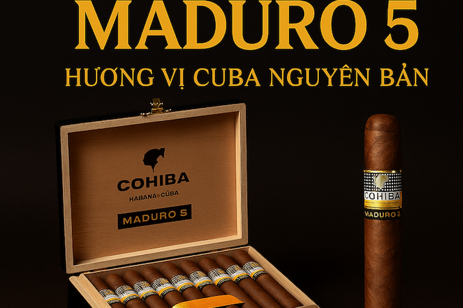 Cigar Cohiba Maduro 5: Tuyệt Phẩm Secretos Hộp 10 Điếu & Đánh Giá Chi Tiết