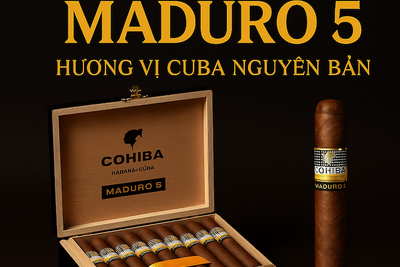 Cigar Cohiba Maduro 5: Tuyệt Phẩm Secretos Hộp 10 Điếu & Đánh Giá Chi Tiết