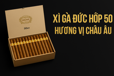 Xì Gà Meine 50er & Xì Gà Meine 60er (Hộp 50 Điếu): Đánh Giá Xì Gà Đức Chất Lượng