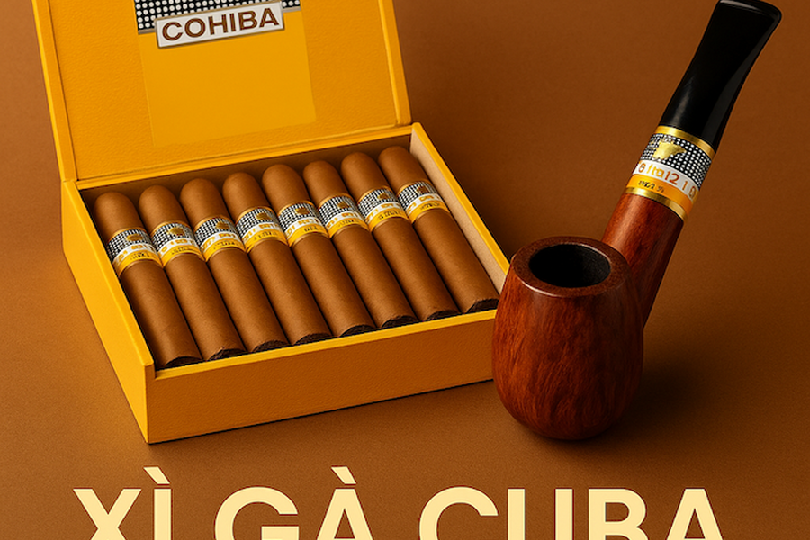 Mua Xì Gà Ở Đâu TPHCM? Shop Bán Xì Gà Cuba Chính Hãng, Xì Gà Sữa, Mini Giá Rẻ Nhất
