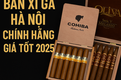 Bán Xì Gà Hà Nội: Địa Chỉ Mua Xì Gà Cuba, Macanudo, Oliva Chính Hãng