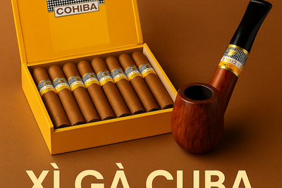 Xì Gà Cuba Chính Hãng TP HCM: Mua Xì Gà Bán Lẻ, Tẩu Mini & Tủ Xì Gà Tại Q7 Giá Rẻ Nhất