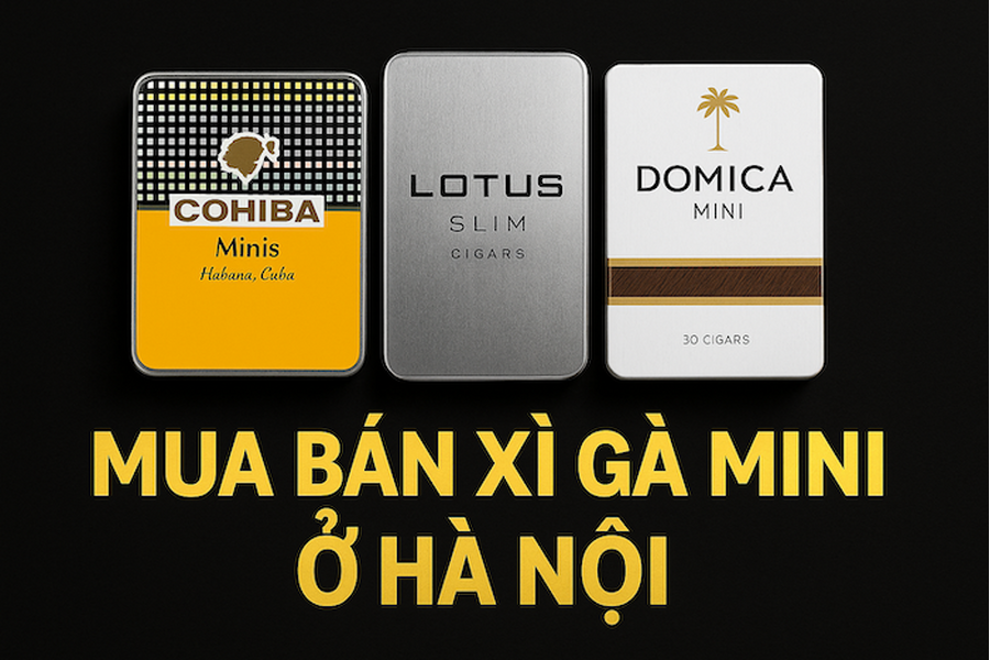 Mua Bán Xì Gà Mini Ở Hà Nội: Cẩm Nang A-Z & Địa Chỉ Xì Gà Mini Giá Tốt 2025