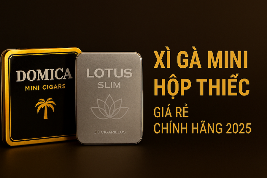 Xì Gà Mini Hộp Thiếc Giá Rẻ [TOP 2025]