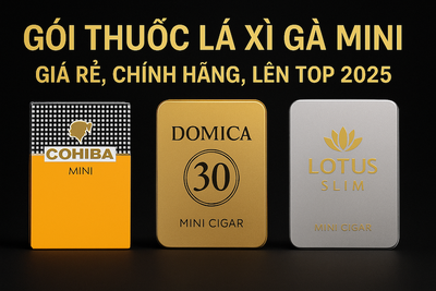 Gói Thuốc Lá Xì Gà Mini: Khám Phá Sự Khác Biệt & Top 5 Lựa Chọn Tiện Lợi Nhất 2025