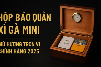 HỘP BẢO QUẢN XÌ GÀ MINI [TOP 5]: Hướng Dẫn Chọn Humidor Du Lịch Tốt Nhất 2025