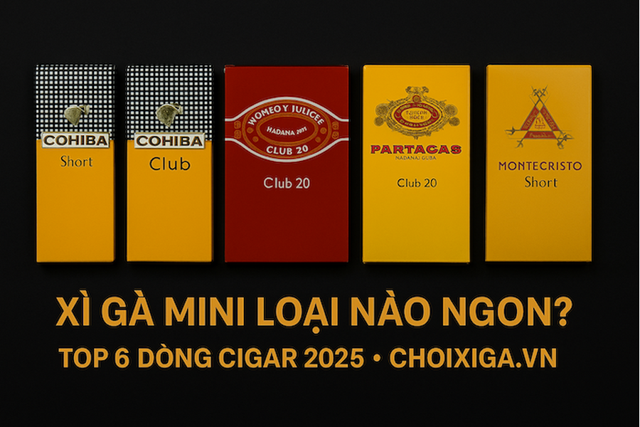 XÌ GÀ MINI LOẠI NÀO NGON NHẤT? [TOP 6] Đánh Giá Cohiba Short, Montecristo, Romeo & Partagas Club 20