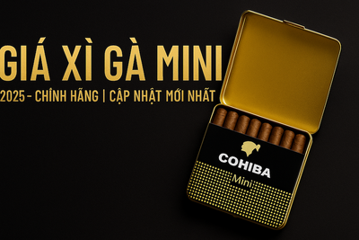 XÌ GÀ MINI HCM [TOP 5]: Giá & Địa Chỉ Mua Xì Gà Cuba Mini, Cohiba Short Chính Hãng Tại TPHCM